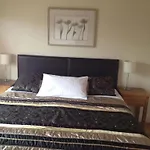 Apartament College View